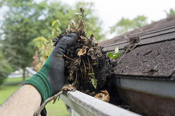 neglecting gutter cleaning can lead to water damage, leaks, and mold growth